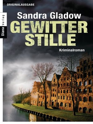 cover image of Gewitterstille